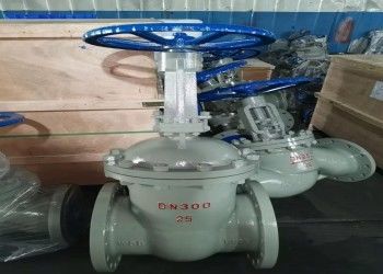 수동 싱글 웨지 스테인리스 스틸 버터플라이 밸브 DN10-DN50