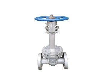 수동 싱글 웨지 스테인리스 스틸 버터플라이 밸브 DN10-DN50