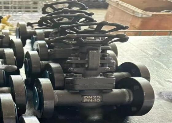 수동 스틸 게이트 밸브 DN10-DN50 150lb-1500lb 가혹한 환경에 대한 높은 경화 저항